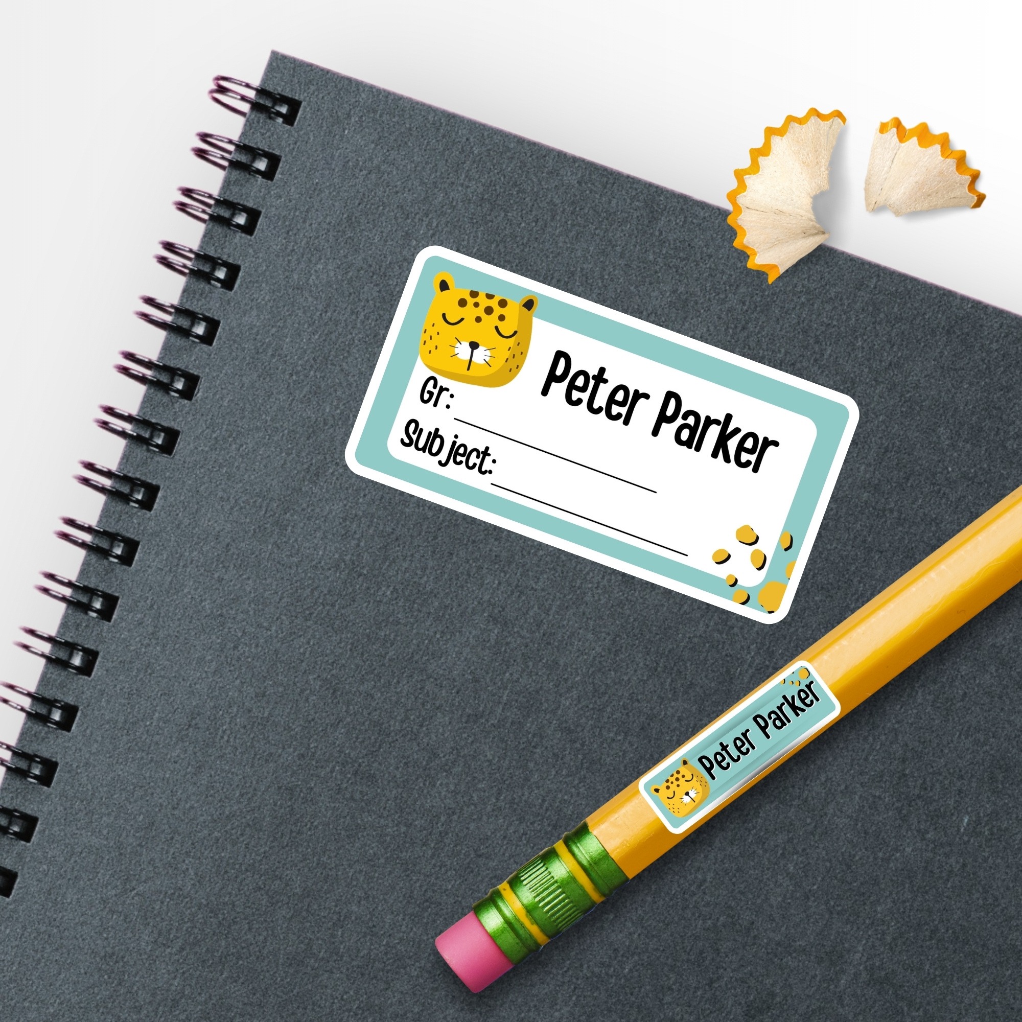 BOYS BOOK LABEL SET